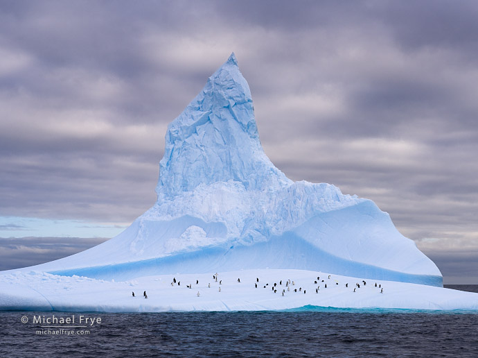 Iceberg with penguins, Antarctica