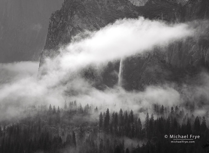 Trees, mist, and Bridalveil Fall, Yosemite NP, CA, USA