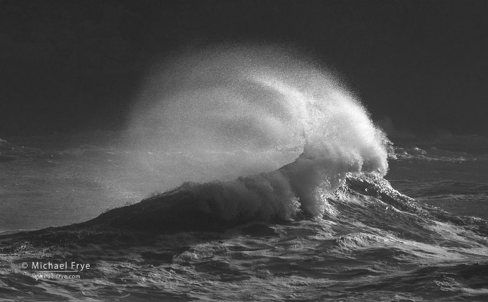 Rooster tail, northern California coast, USA