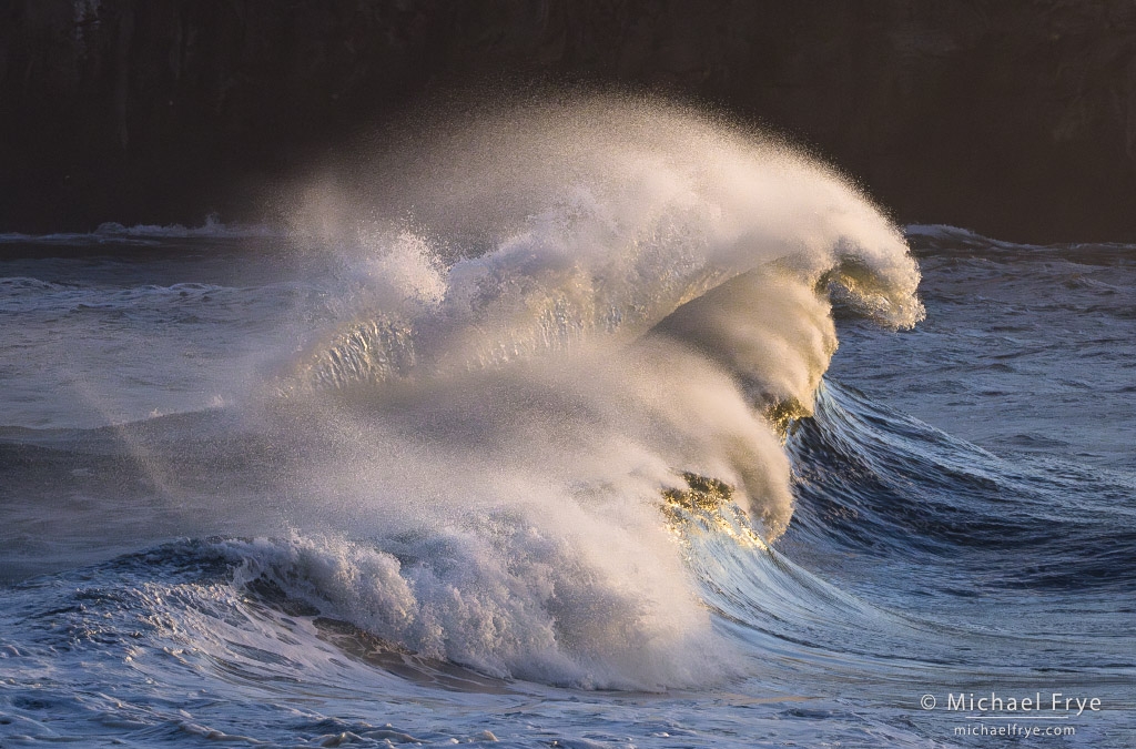 Wave Party