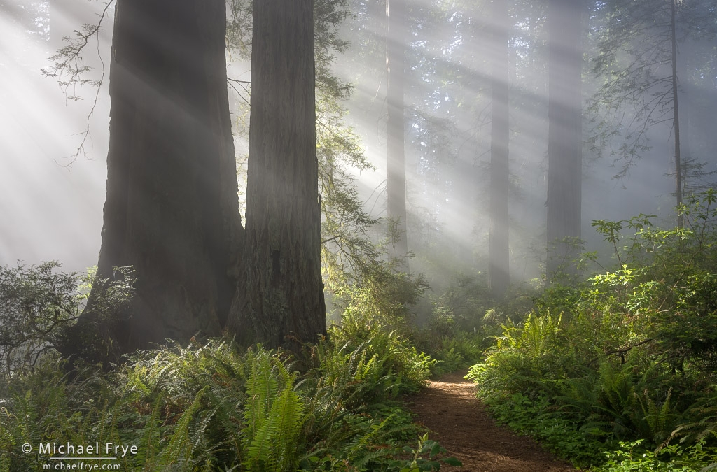 Sun Breaking Through Fog
